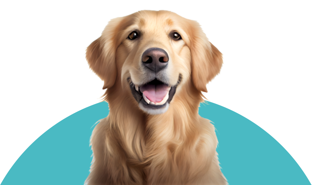 FurHealth App Interface